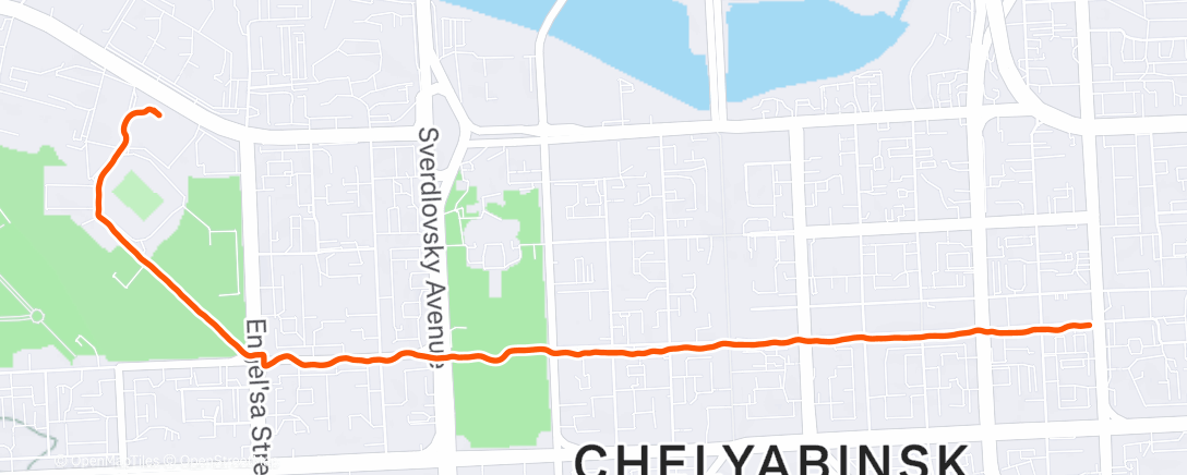 Карта физической активности (В зал)