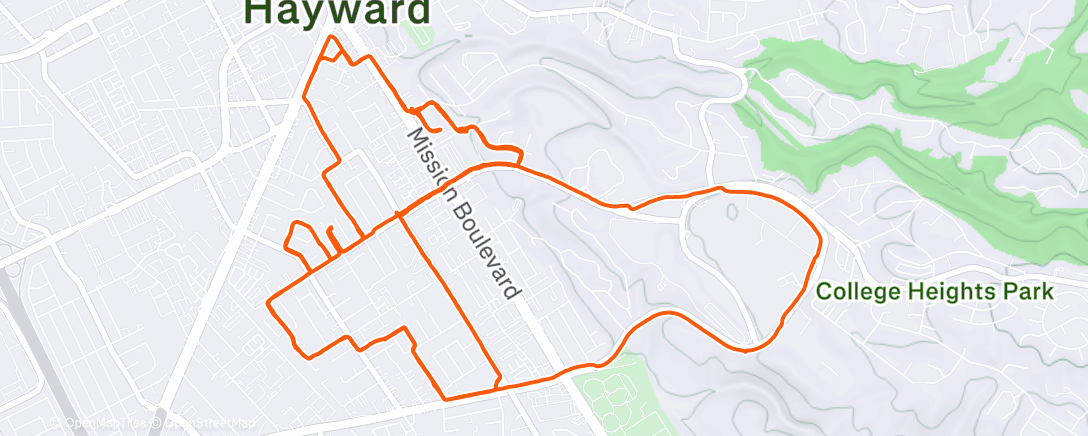 Map of the activity, Morning Walk