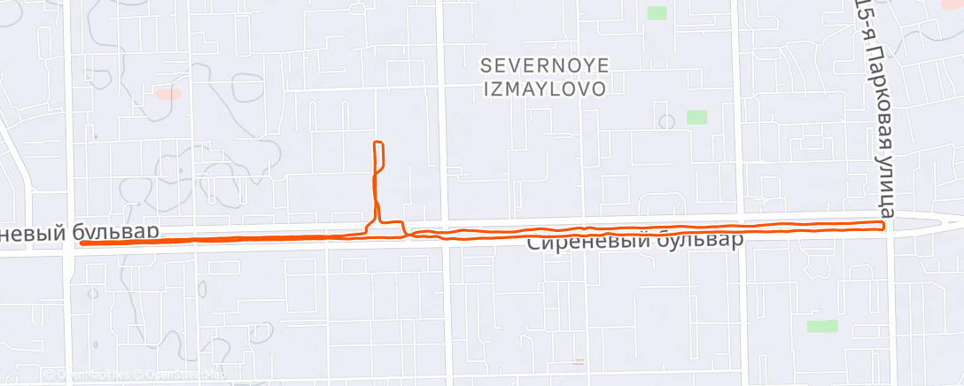 Map of the activity, Evening Run