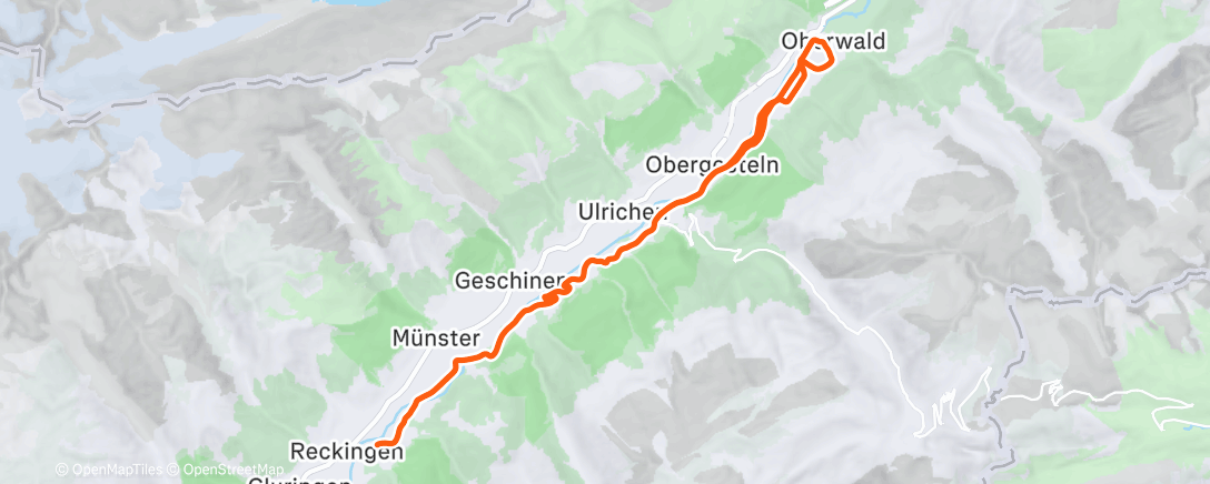 Карта физической активности (Afternoon Nordic Ski)