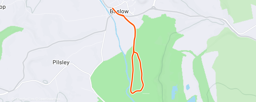 Map of the activity, Morning Run