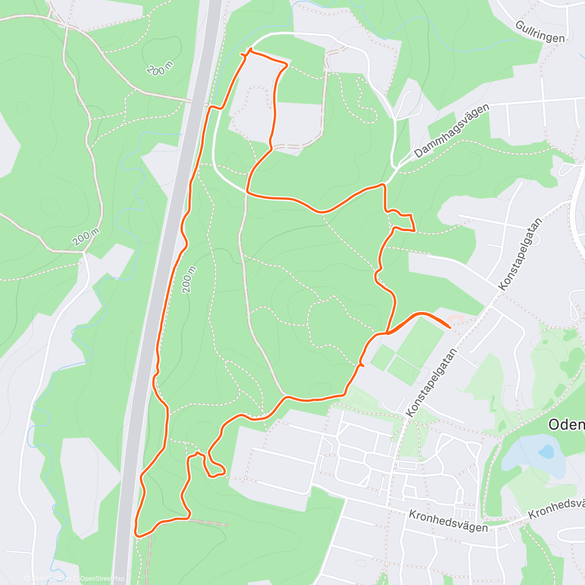 Map of the activity, Evening Run