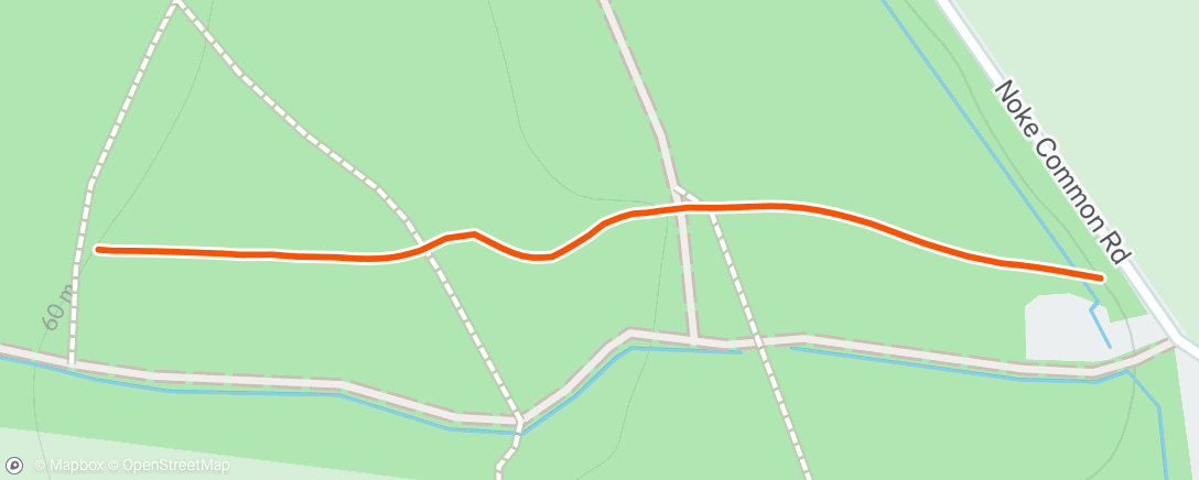 Map of the activity, 3k forest run with lucas