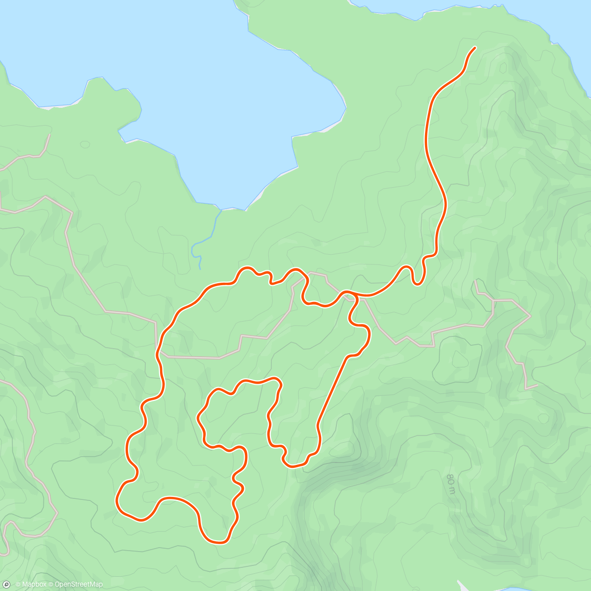 Map of the activity, Zwift - Hill Repeats in Watopia