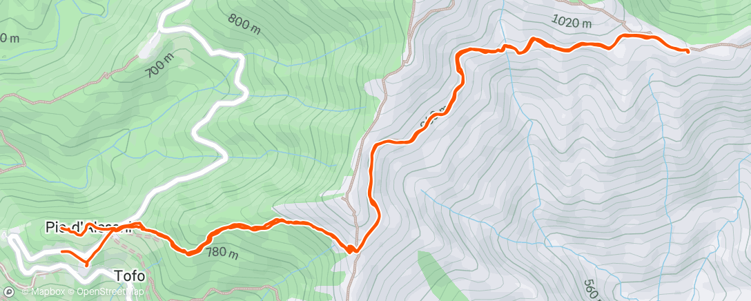 Map of the activity, Trail le matin