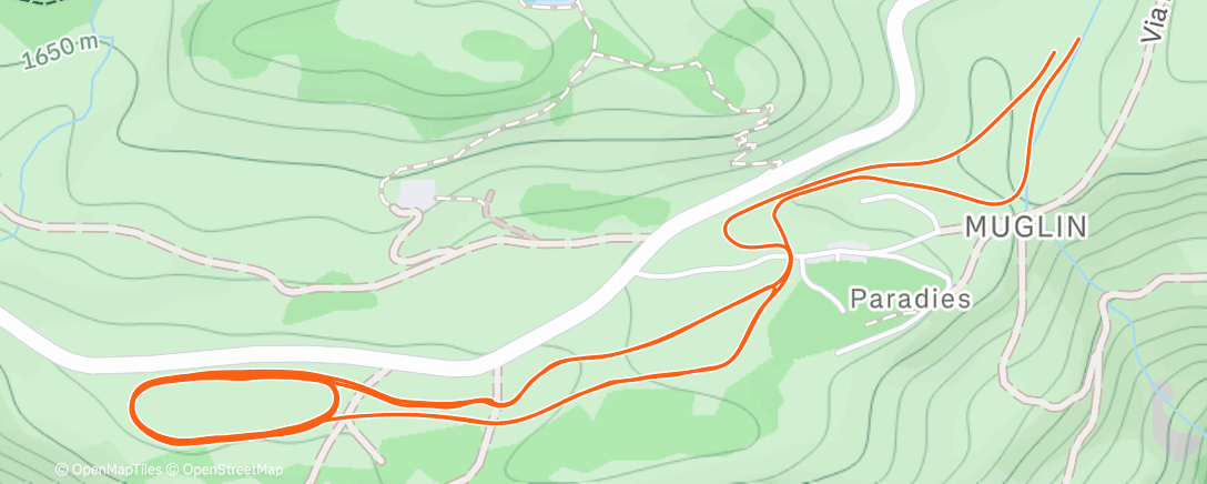 Карта физической активности (Afternoon Nordic Ski)