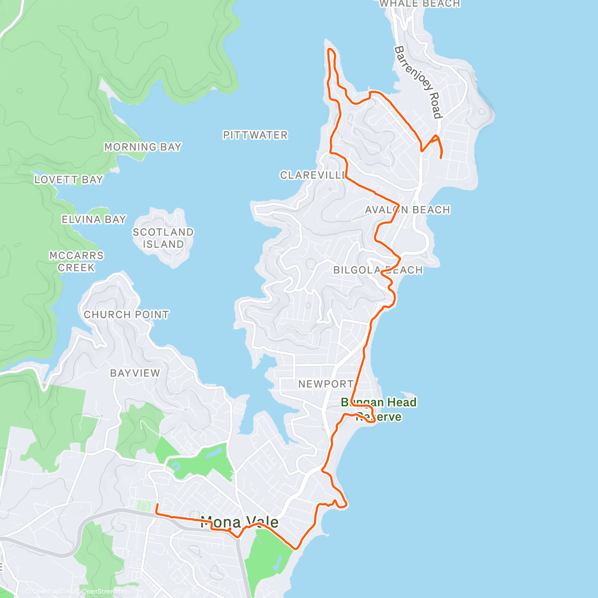 Карта физической активности (Afternoon Run)