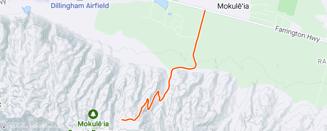 Map of the activity, Morning Ride