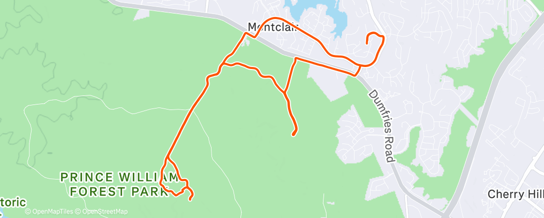 Карта физической активности (Afternoon Run)