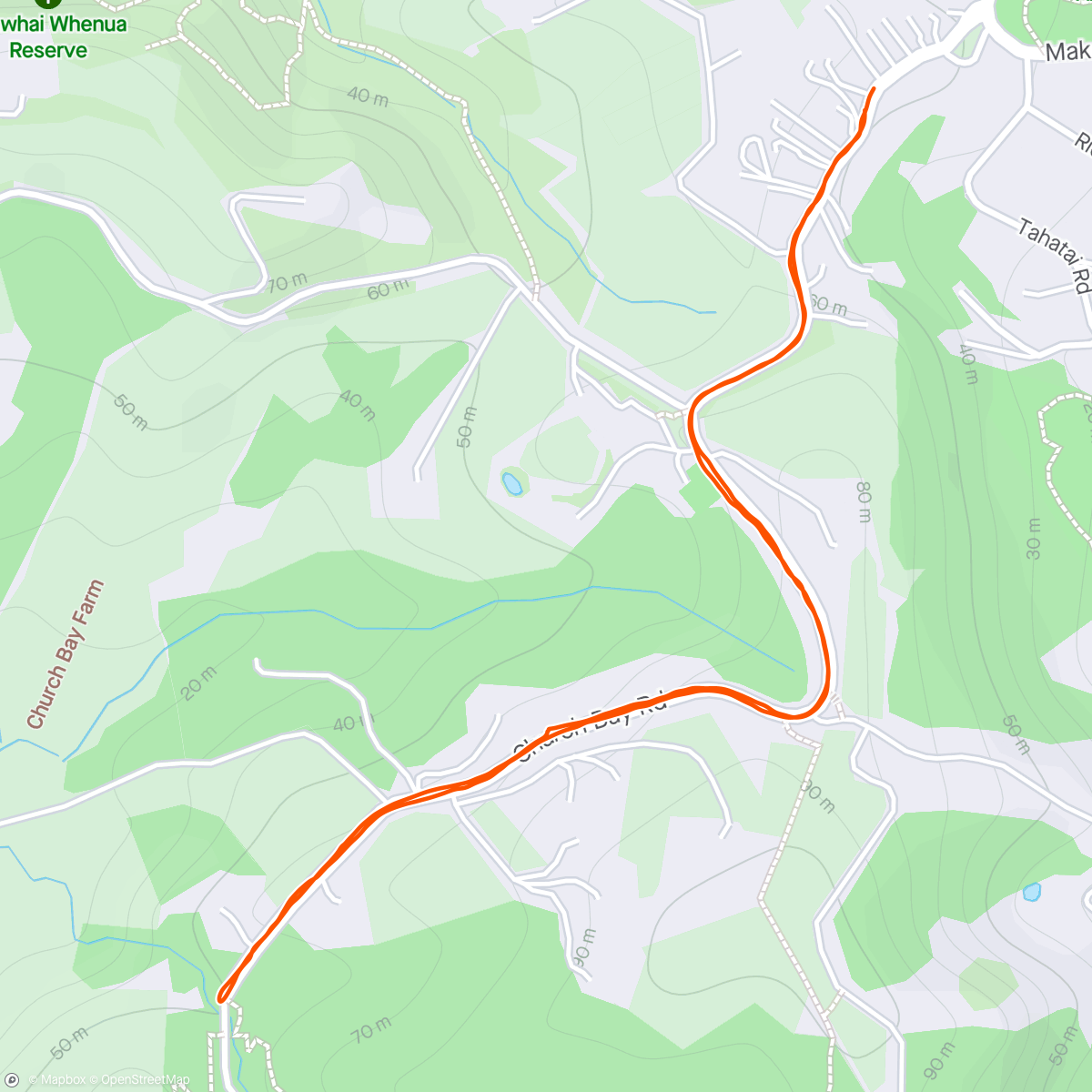 Map of the activity, 30 minute run