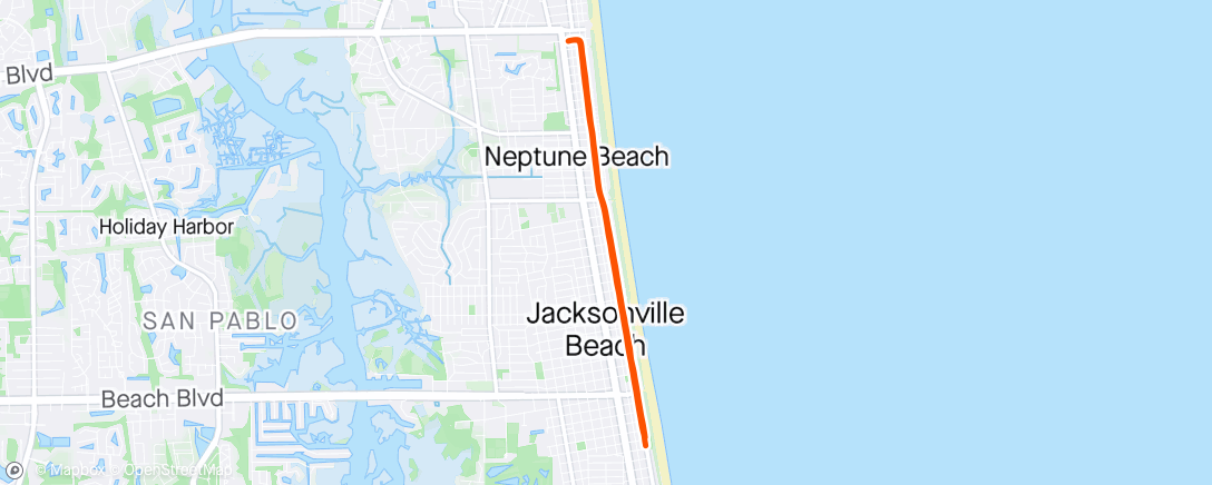 Mappa dell'attività Beach run