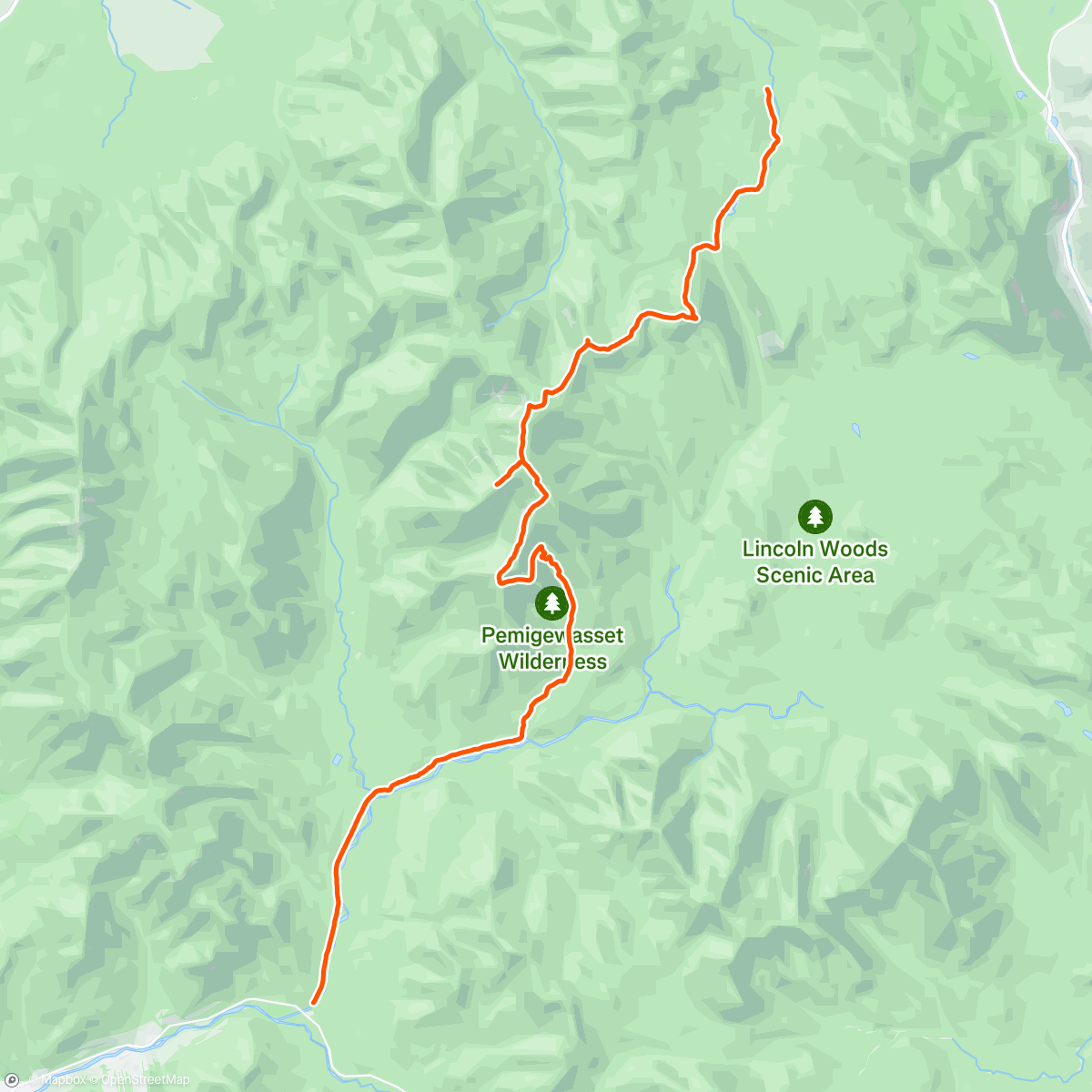 Map of the activity, ZeaBonds
