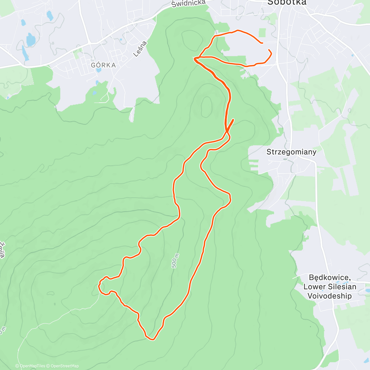 Map of the activity, Easy + UPHILL strides