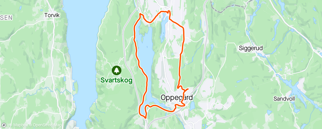 Карта физической активности (Afternoon Nordic Ski)