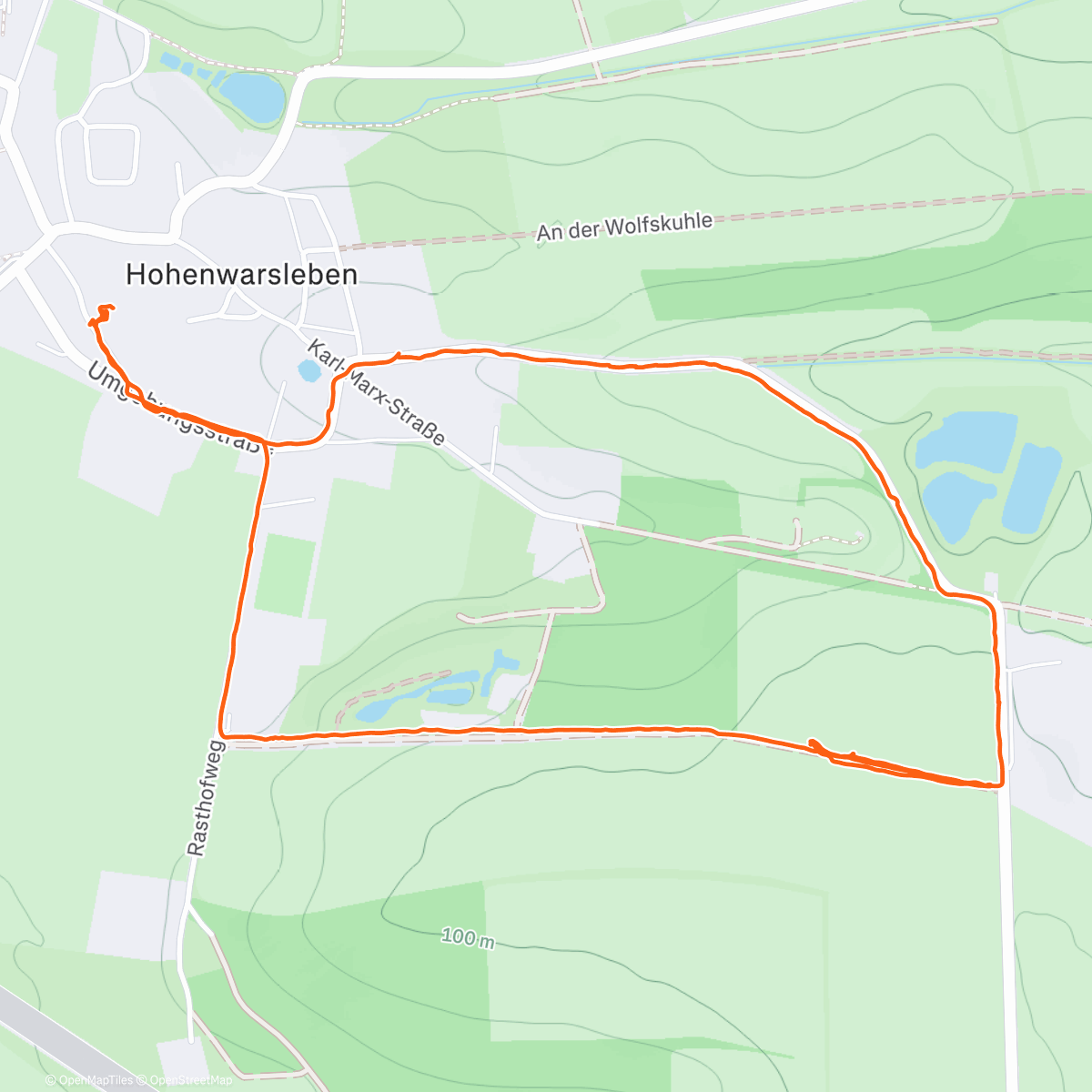 Карта физической активности (Mein 🎅🎁ausführen🐕‍🦺)