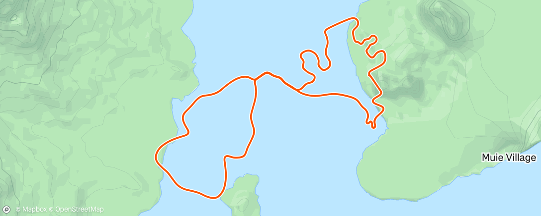 Карта физической активности (Zwift - VELD Coached - HITT dynamics on Jarvis Seaside Sprint in Watopia)