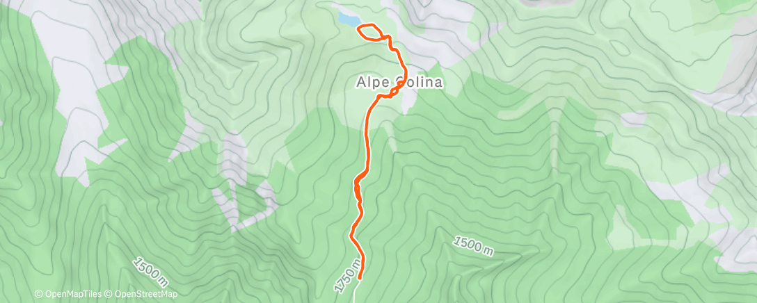Map of the activity, Ora su un volo privato verso un’isola a caso