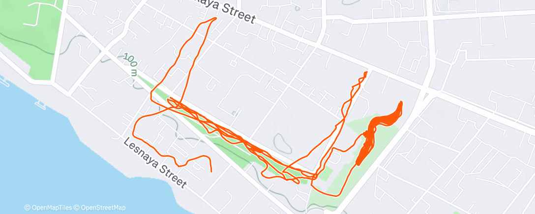 Map of the activity, Вечерний забег