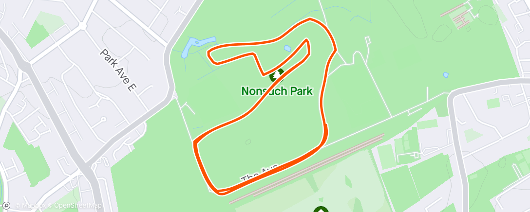 Map of the activity, Nonsuch parkrun - new exciting zig zag course