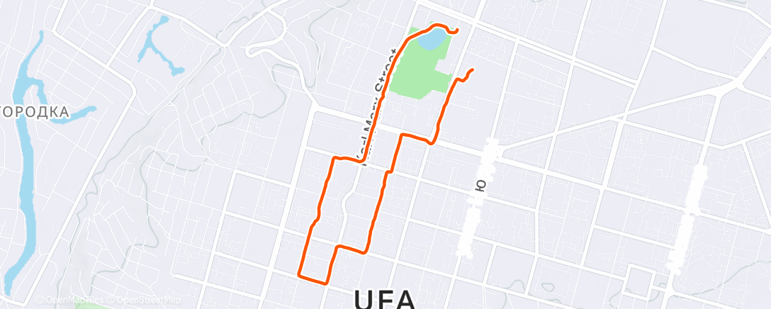 Карта физической активности (Вечерний забег)