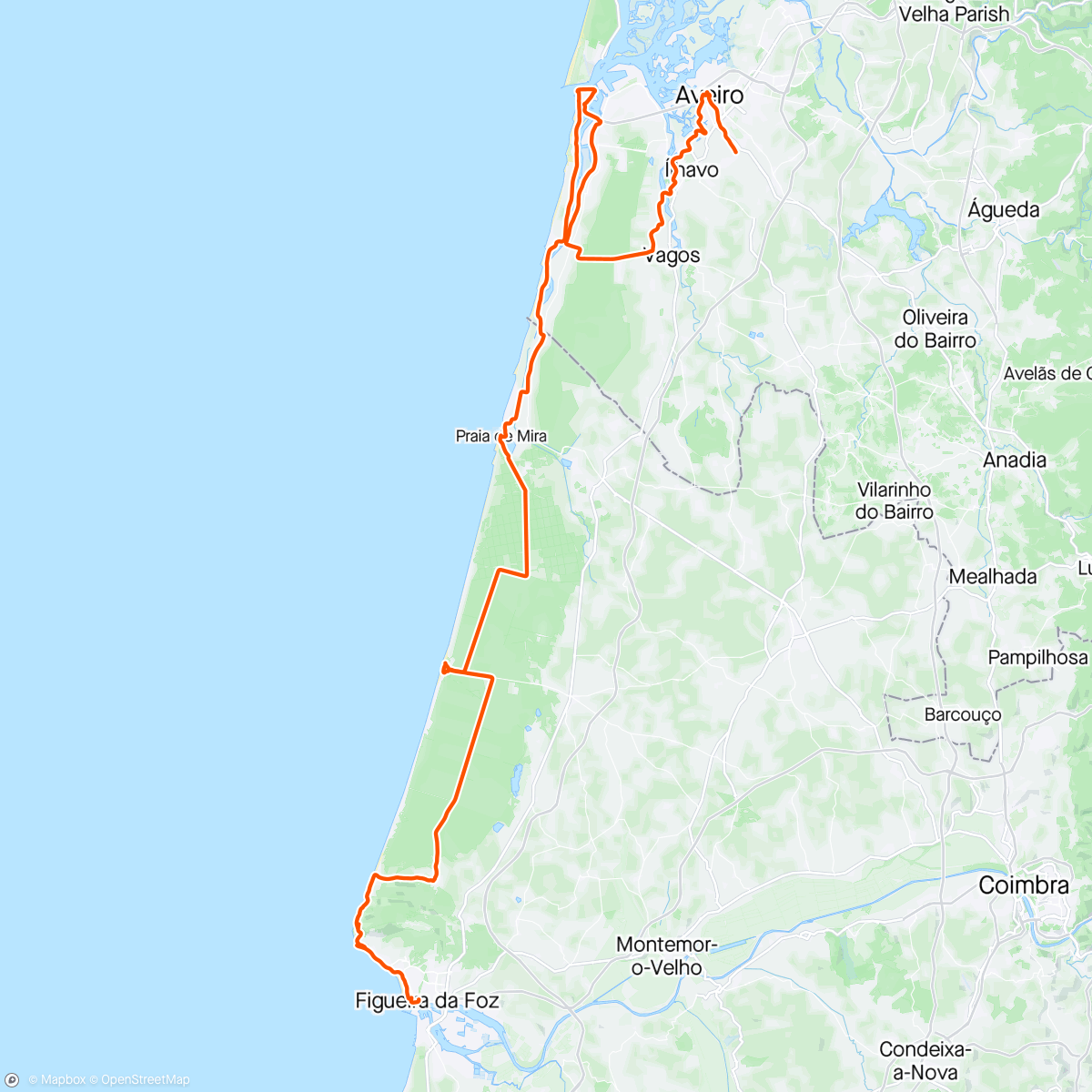 Map of the activity, Figueira da Foz - Aveiro (3/6)