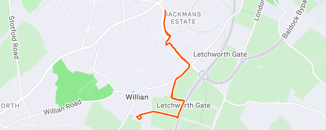 Карта физической активности (Morning Run)