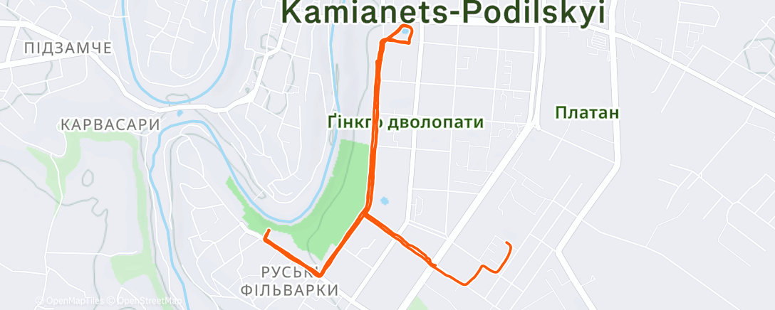 Карта физической активности (Afternoon Run)