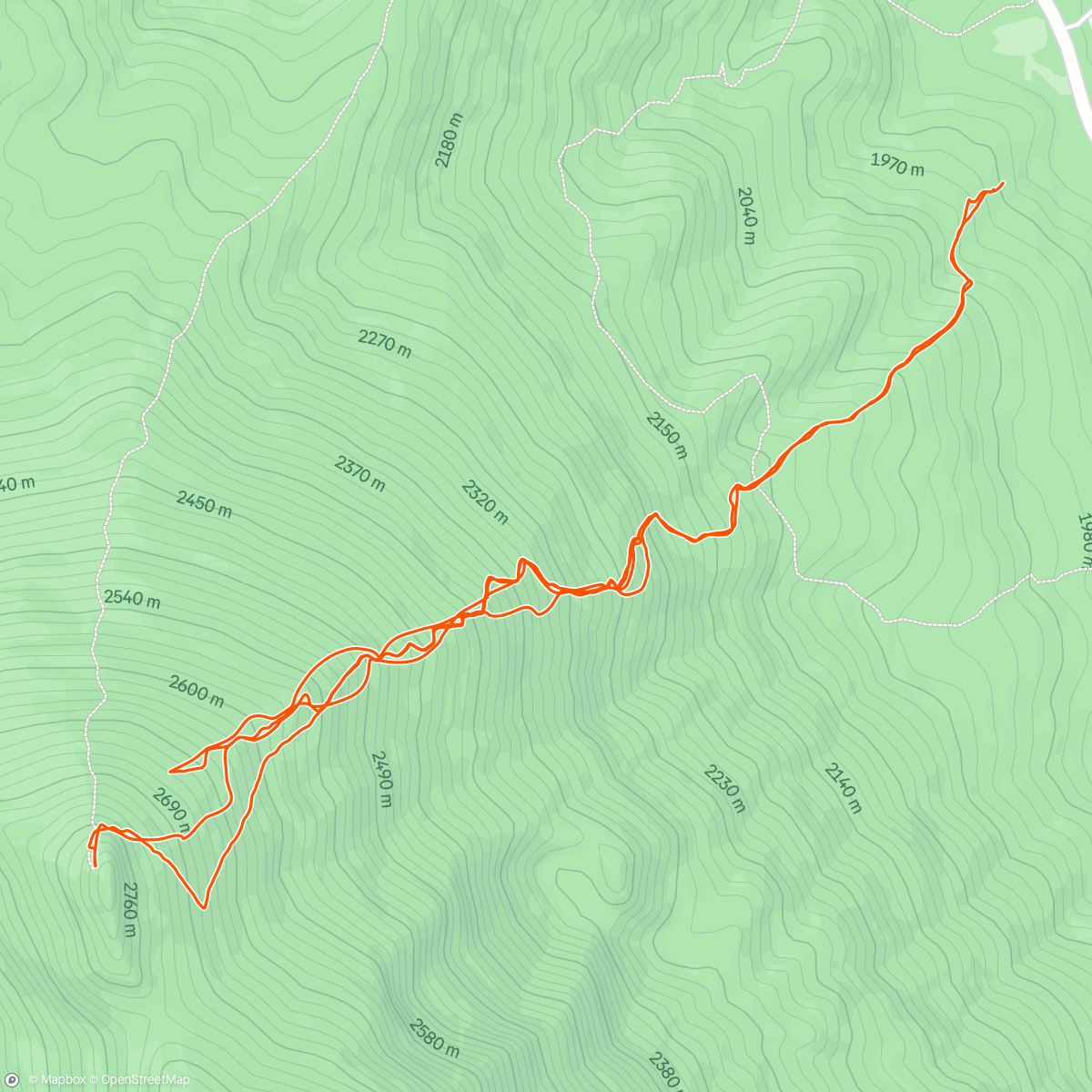 Map of the activity, Deep day for the dog