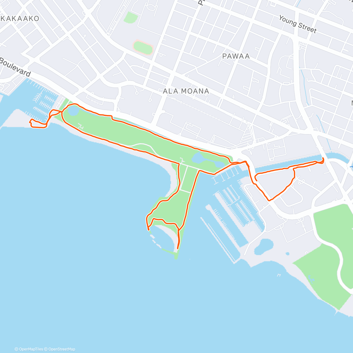 Map of the activity, Slow sweet last day