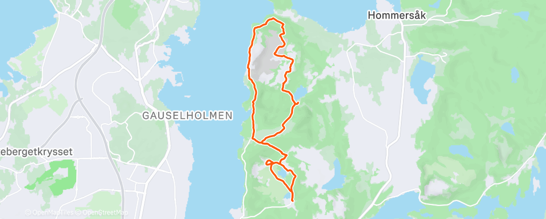 Карта физической активности (Liden loop..⛰️)