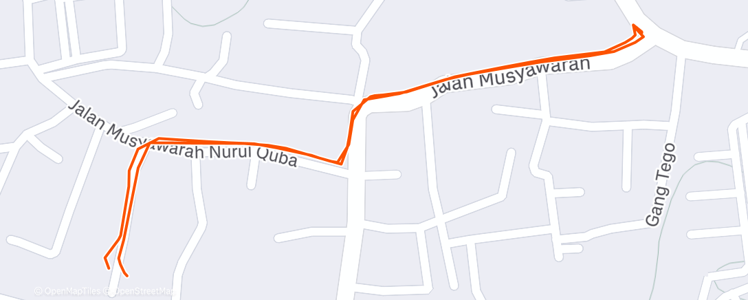 Карта физической активности (Morning Walk)