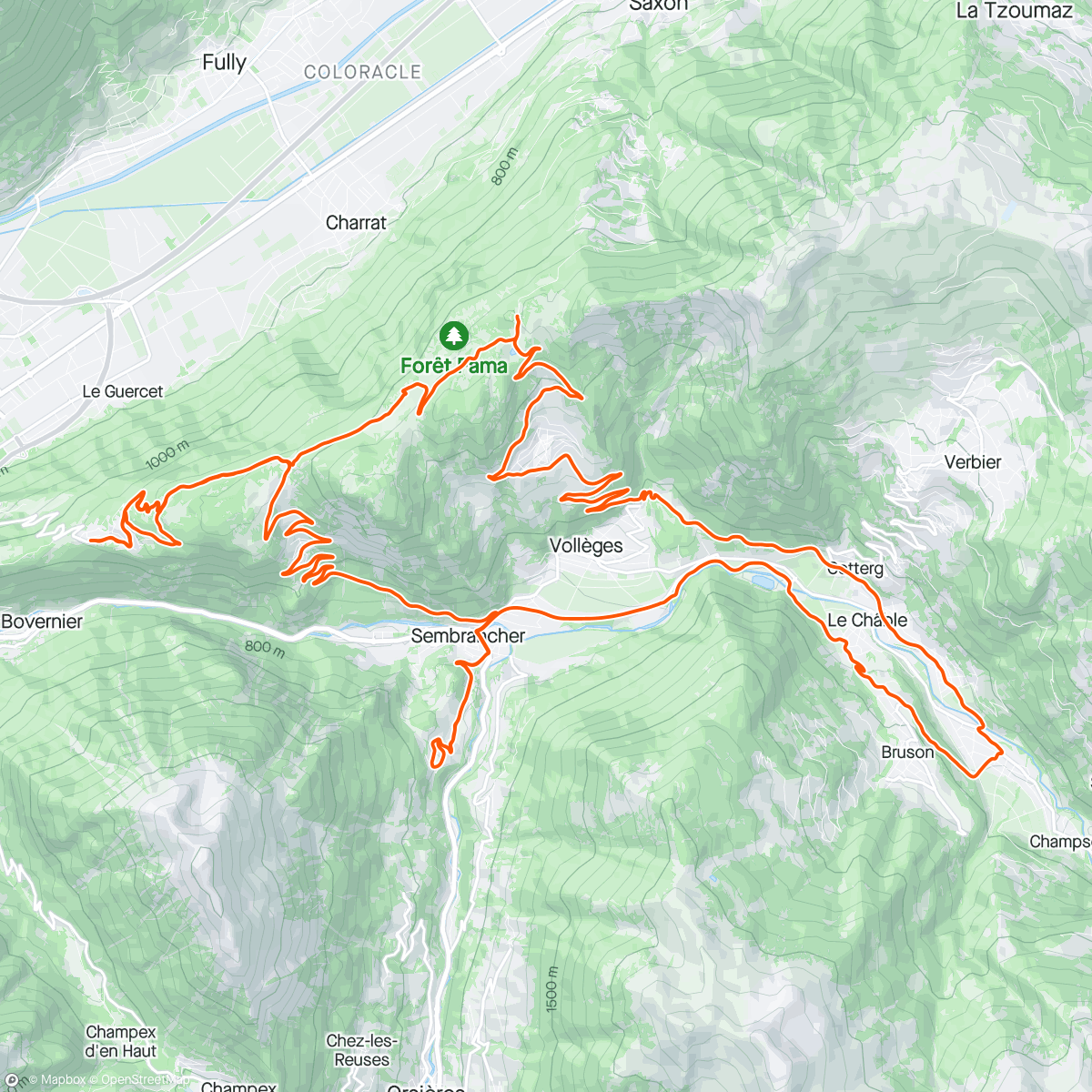 Map of the activity, Problemo