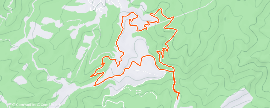 Карта физической активности (Morning Trail Run)