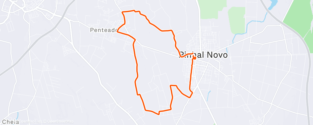 Карта физической активности (Afternoon Run🏃🏃)