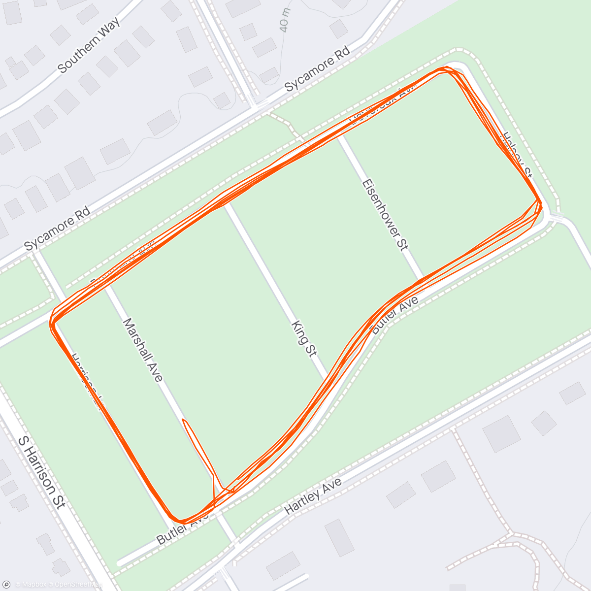 Map of the activity, Only three leaf clovers on the ground