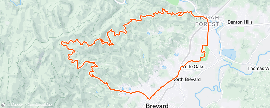 Mappa dell'attività Joel Roel