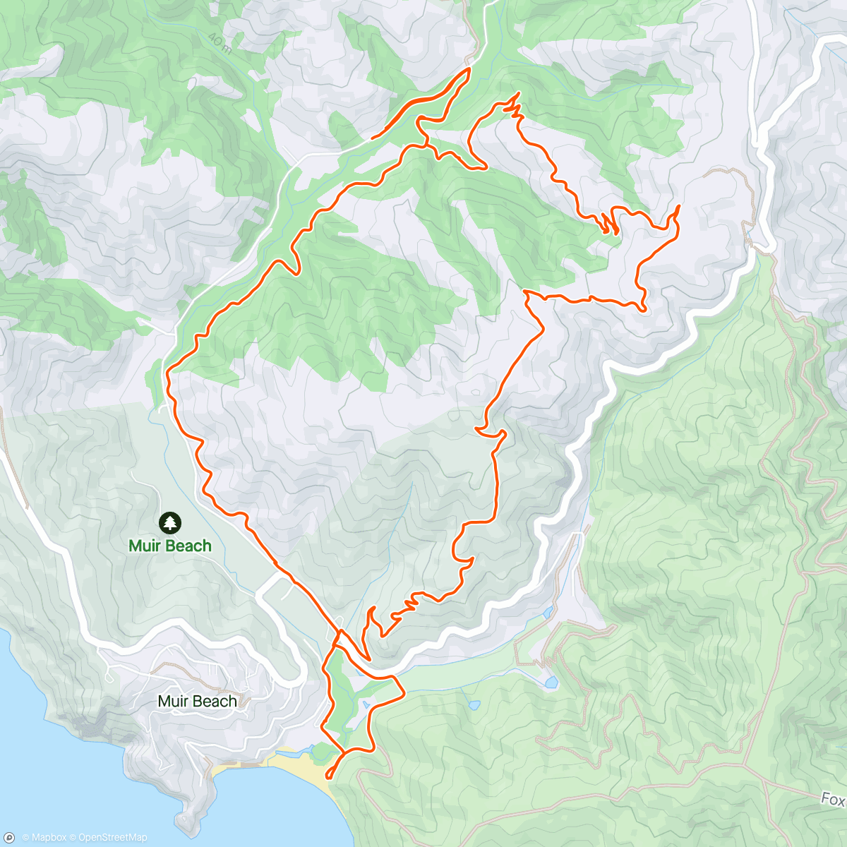 Mappa dell'attività Mt Tamalpais State Park
