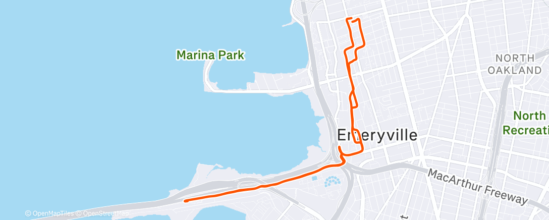 Карта физической активности (Afternoon Run)