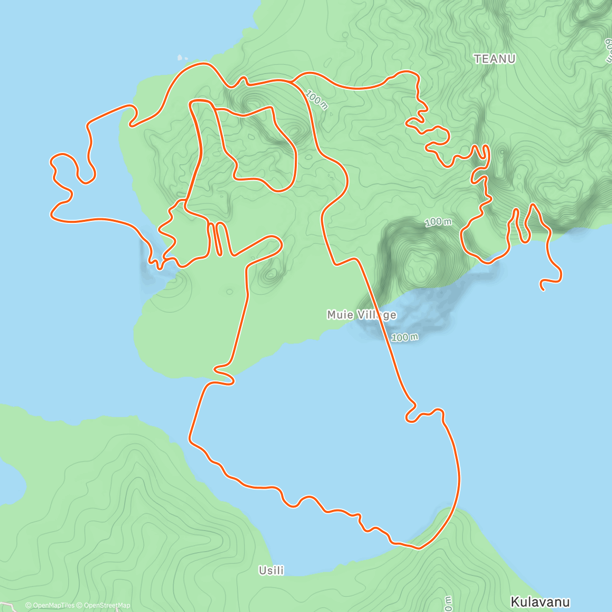 Карта физической активности (Zwift - Tair Dringfa Fechan in Watopia)