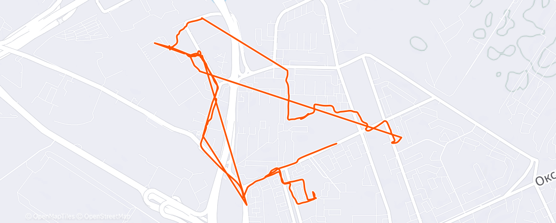 Карта физической активности (Morning Walk)