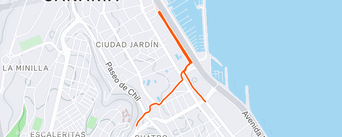 Карта физической активности (3x1k)