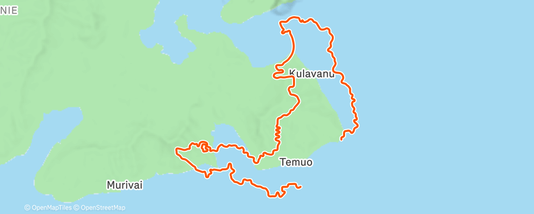 Карта физической активности (Zwift - HumanGO: Coach Pav's Threshold Pyramid Set-5 on Tides and Temples in Watopia)