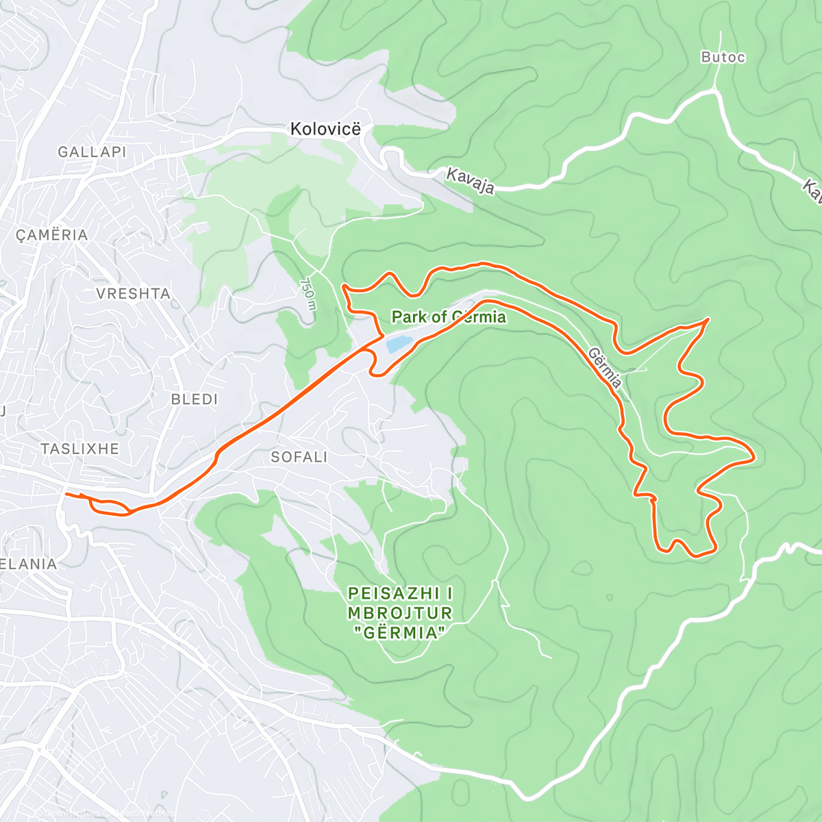 Карта физической активности (Morning Run)