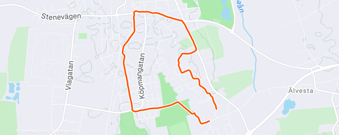 Карта физической активности (Lunch Run)