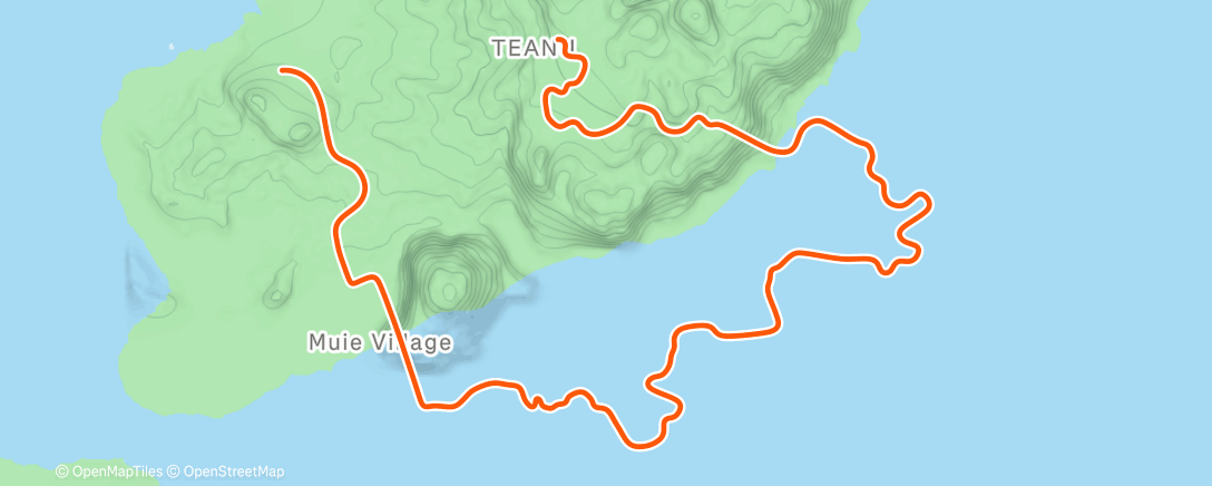 Map of the activity, 8/n