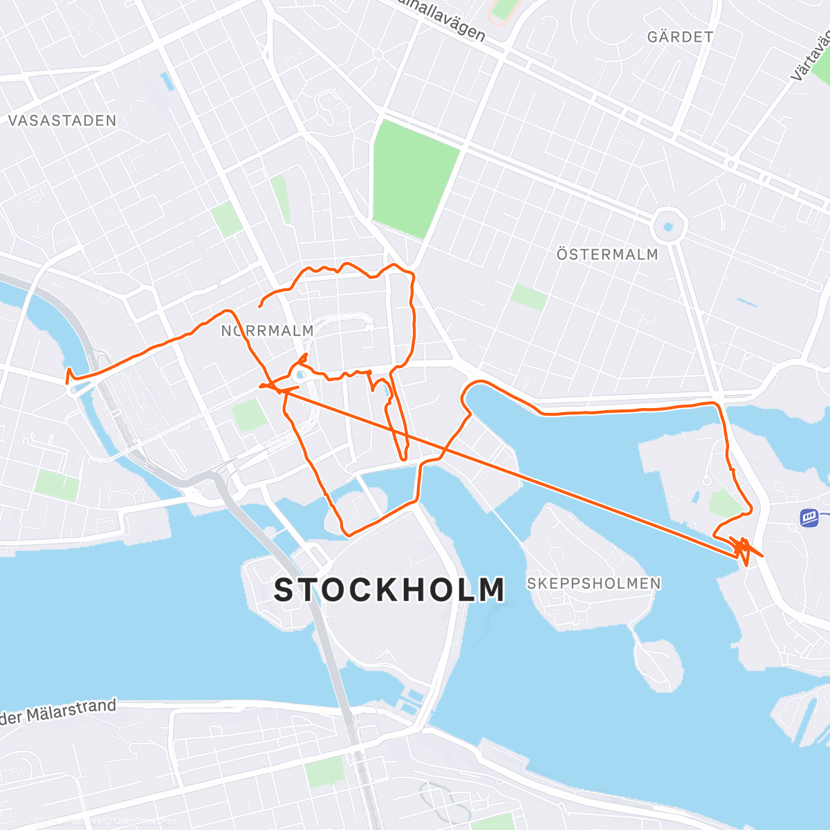 Карта физической активности (🇸🇪 Stockholm Exploration 1)