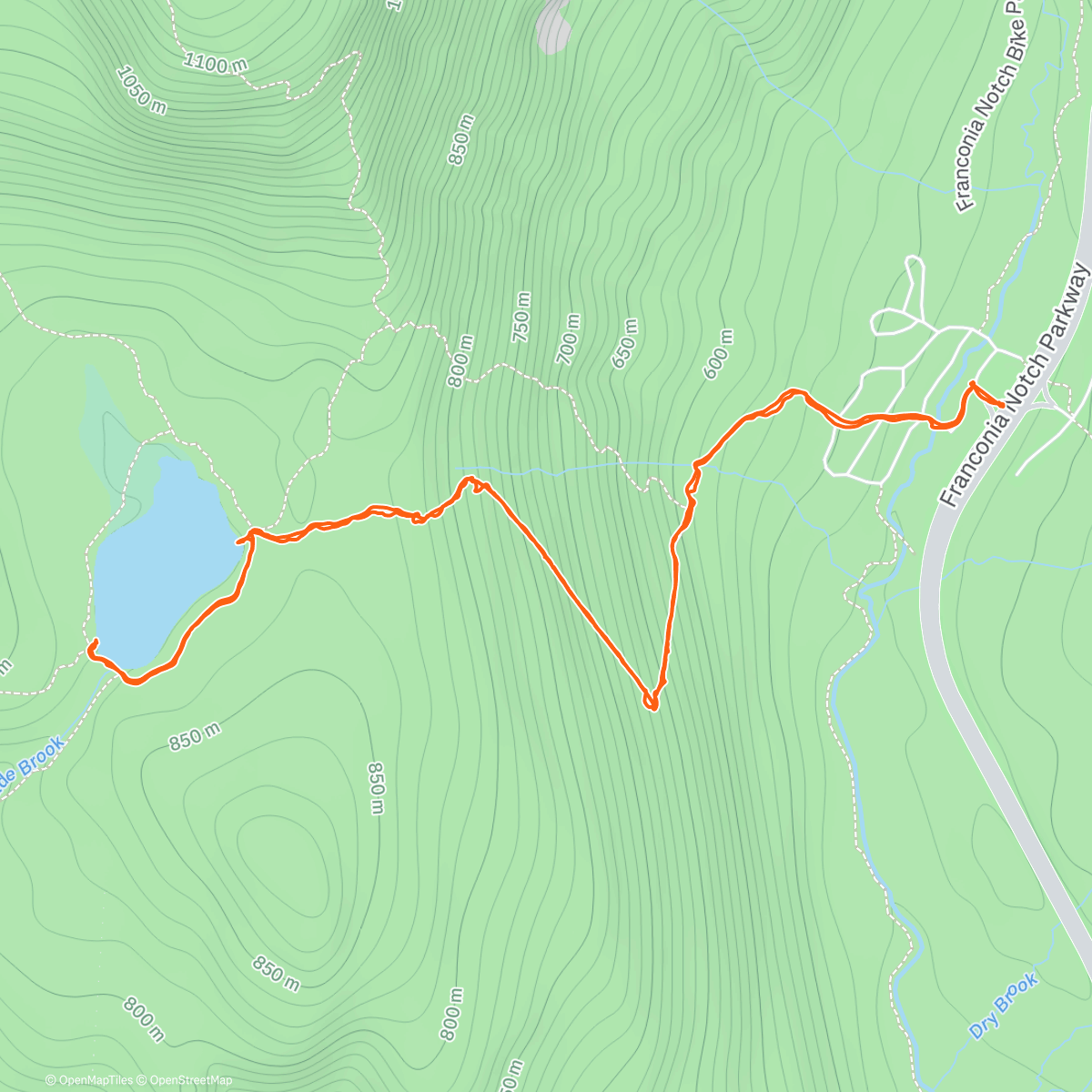 Карта физической активности (Mr. Freeze)