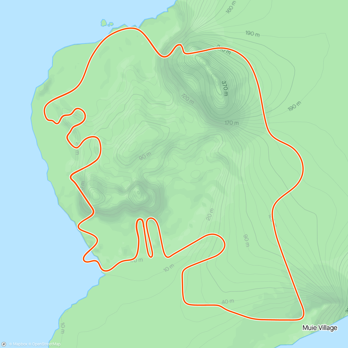 Карта физической активности (Zwift - Pacer Group Ride: Flat Route in Watopia with Bernie)