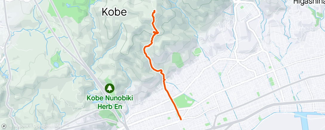 Map of the activity, morning trail walk