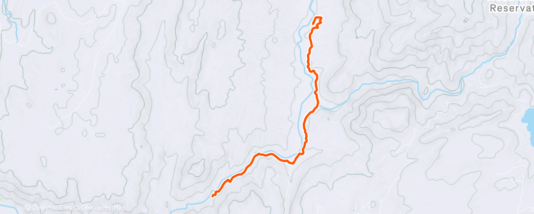 Map of the activity, Now or never